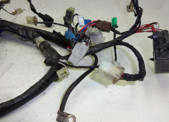 Kabelboom Yamaha FAZER 600