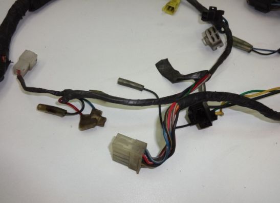 Kabelbaum Yamaha FZ 750