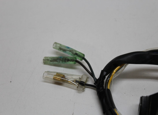 Rucklicht Yamaha YZF R6