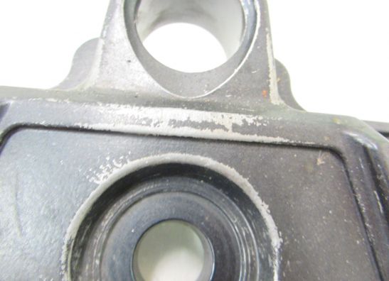 Kroonplaat Kawasaki ZZR 600