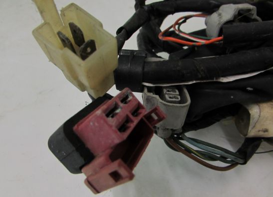 Kabelboom Honda PC 800