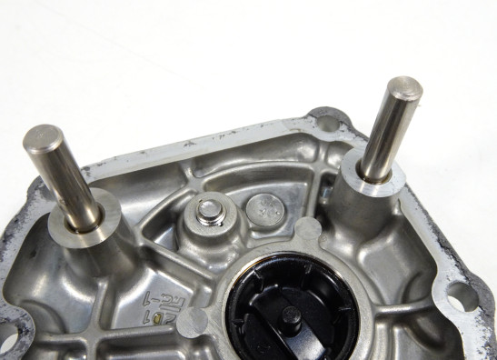 Motorblokdeksel Yamaha FZ1