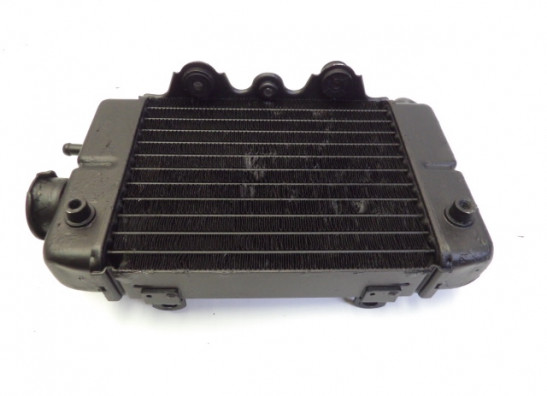 Kuhler Honda TRANSALP