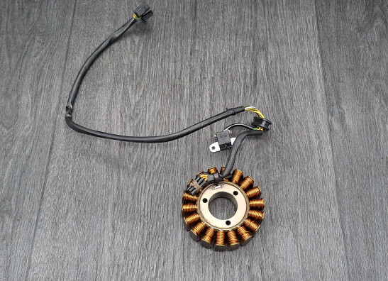 Dynamo Suzuki DL 650 V STROM