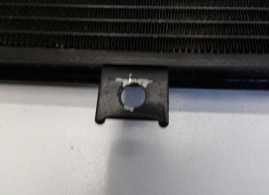 Kuhler Kawasaki Z 1000