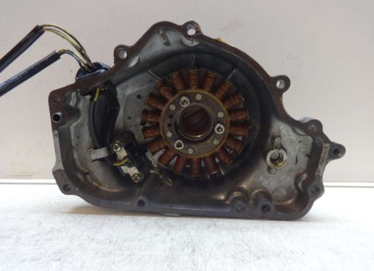 Dynamo Kawasaki EL 250