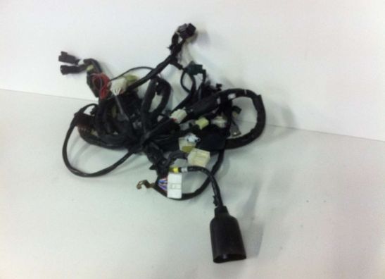 Wire Harness Yamaha XJ 600 Diversion
