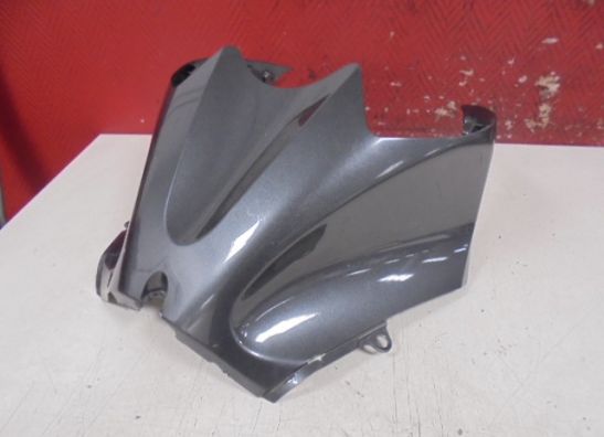 Tankcover Kawasaki ZZR 1400