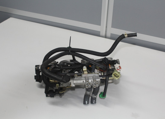 Gasklephuis Yamaha FZ6