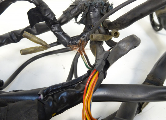 Kabelbaum Ducati monster 600