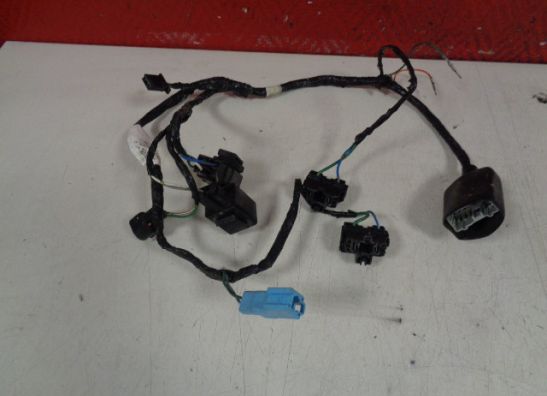 Wire harness front Honda CBR 600 F