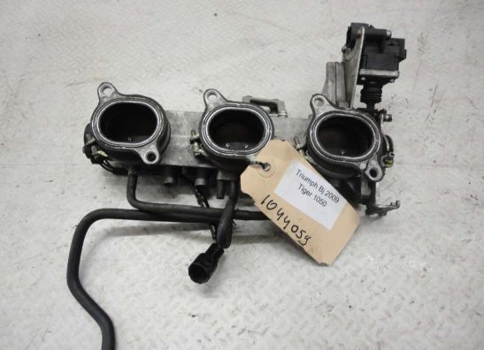 Einspritzanlage Triumph Tiger 1050