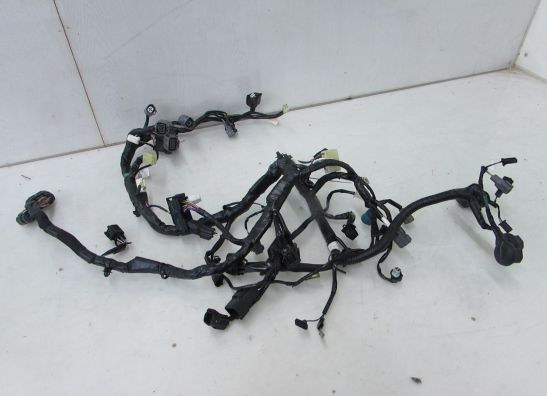 Wire Harness Kawasaki Z 300
