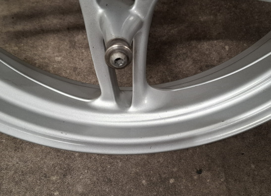 Voorvelg BMW R 1100 S