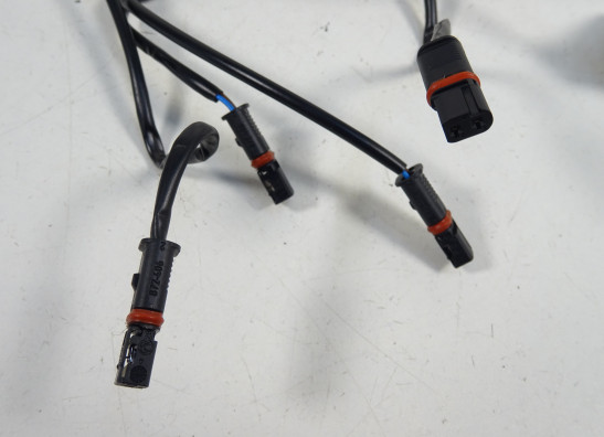 Blinker BMW R 1200 R