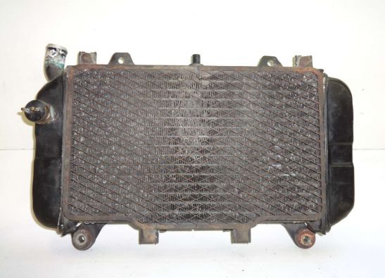 Kuhler Kawasaki ZZR 600