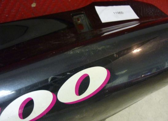 Heck links Kawasaki ZZR 1100