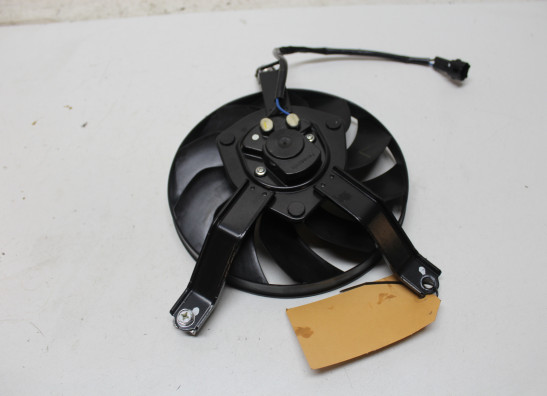 Fan Kawasaki Z 900