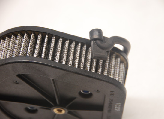 Luchtfilterhuis Harley Davidson Softtail