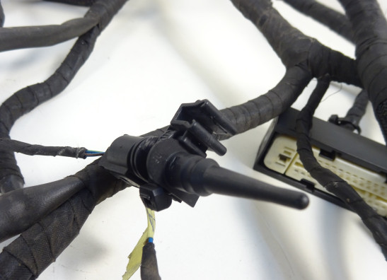 Kabelboom BMW K 1200 R 