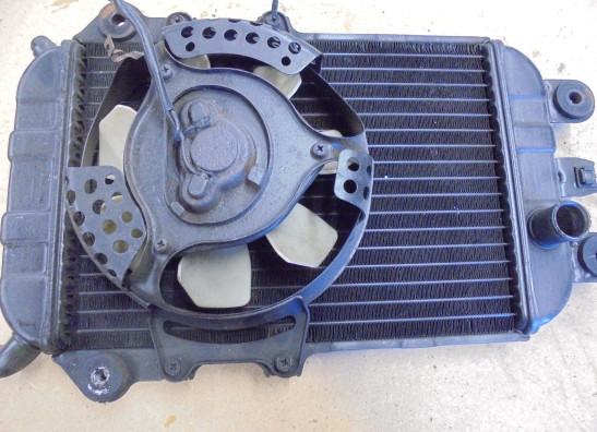 Kuhler Kawasaki VN 700  750