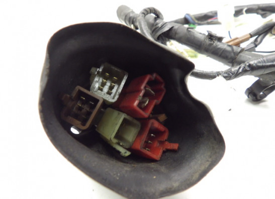 Kabelbaum Yamaha FAZER 1000