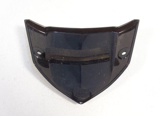 Windschild Kawasaki Z 1000