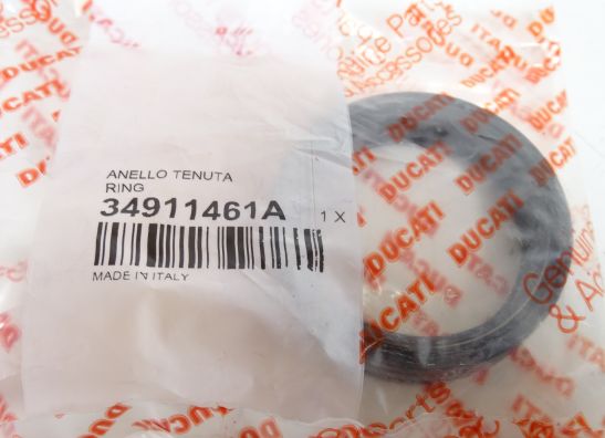 Voorpoot binnen Ducati 848 Streetfighter