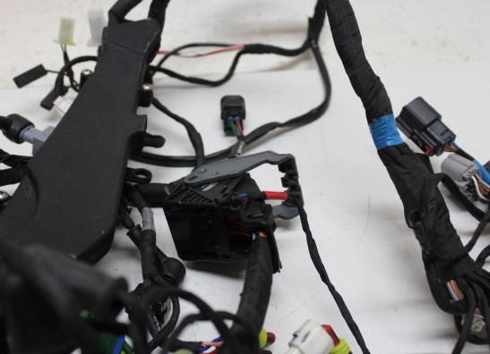 Kabelboom Aprilia RS 660