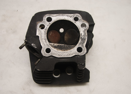 Zylinderkopf Harley Davidson Softtail