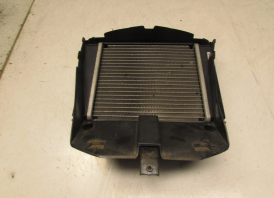 Kuhler Kymco People S 300i