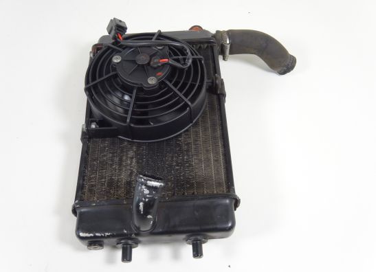 Radiateur Aprilia Falco 1999-2005