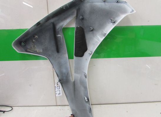 Linker zijkuip Honda CBR Fireblade