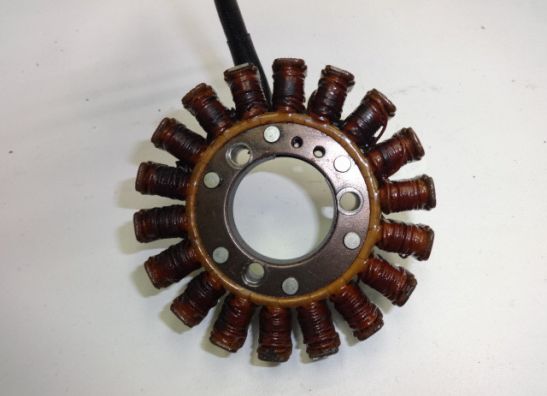 Dynamo Kawasaki ZZR 250