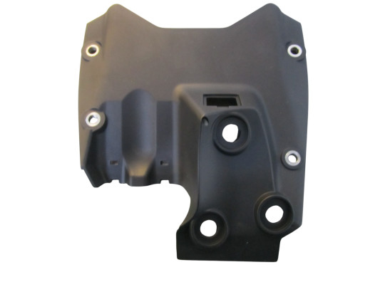 Overig Ducati Panigale V4 R