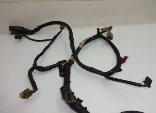 Kabelboom Honda CBX 750 F