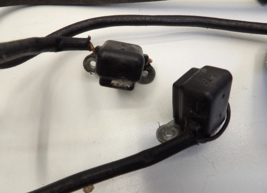 Pulsgever Suzuki Gv 1400 cavalcade