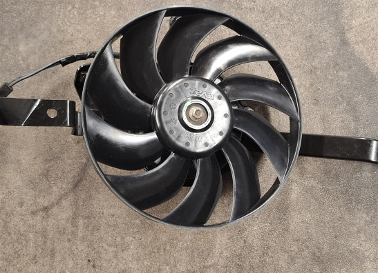 Ventilator Triumph Speed triple RS