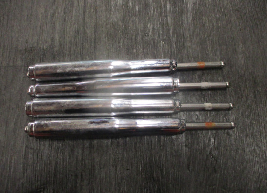 Motorblok diverse Harley Davidson XL1200C 1200 Custom 2007-2020