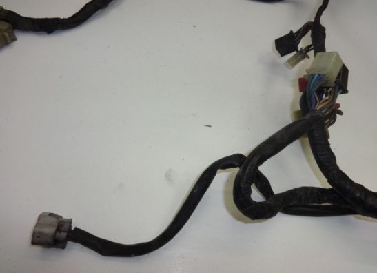 Kabelboom Honda PC 800