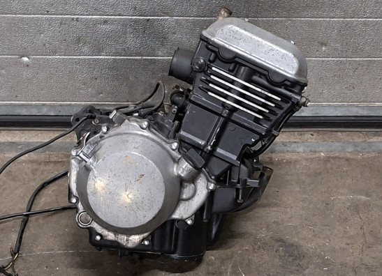 Motorblock Kawasaki EL 250