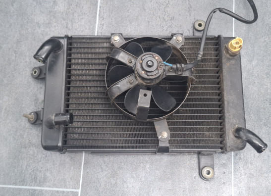 Radiator Suzuki Burgman 400