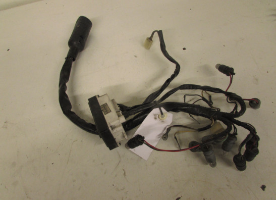 Kabelbaum vorne Kawasaki GTR 1000