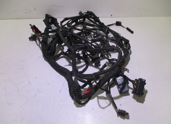 Kabelboom BMW R 1250 RS