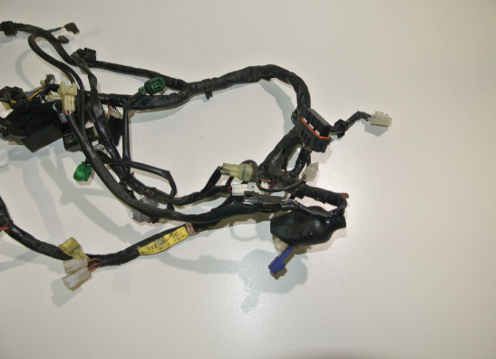 Kabelboom Yamaha FZ6