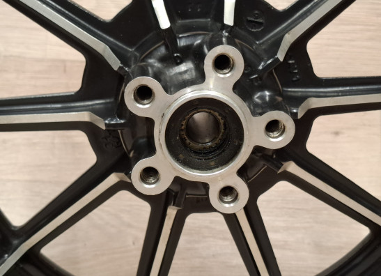 Voorvelg Harley Davidson Touring FL