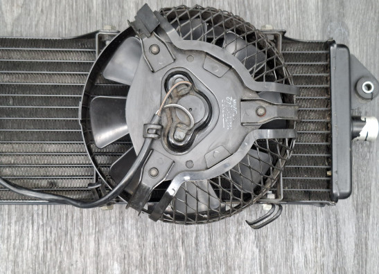 Radiateur Suzuki VX 800