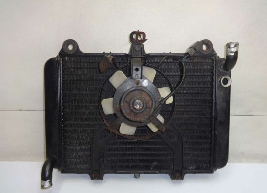 Kuhler Kawasaki GPZ 600