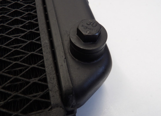 Radiateur Yamaha TDM