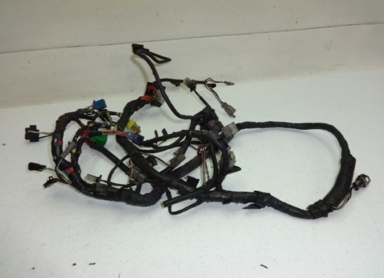 Kabelboom Suzuki VX 800